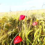 Alpesi faház Du Jardin D'eole De